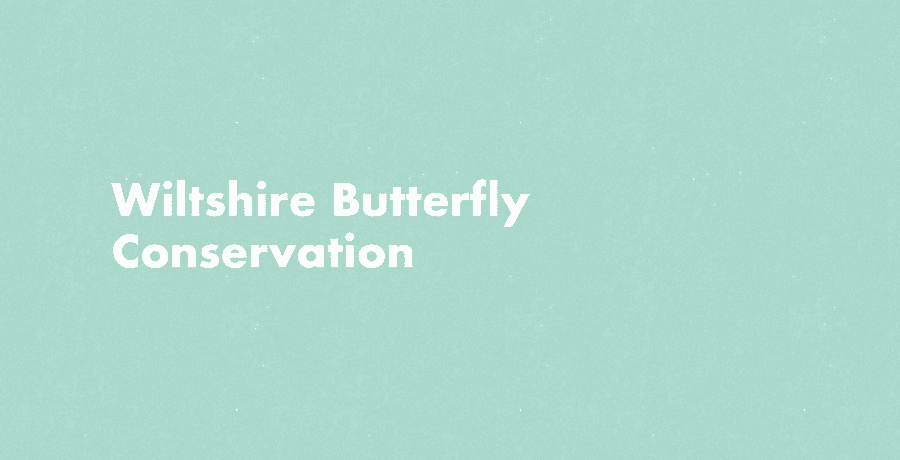 Wiltshire Butterflies
